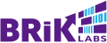 BRiK Labs Logo in Purple and Blue